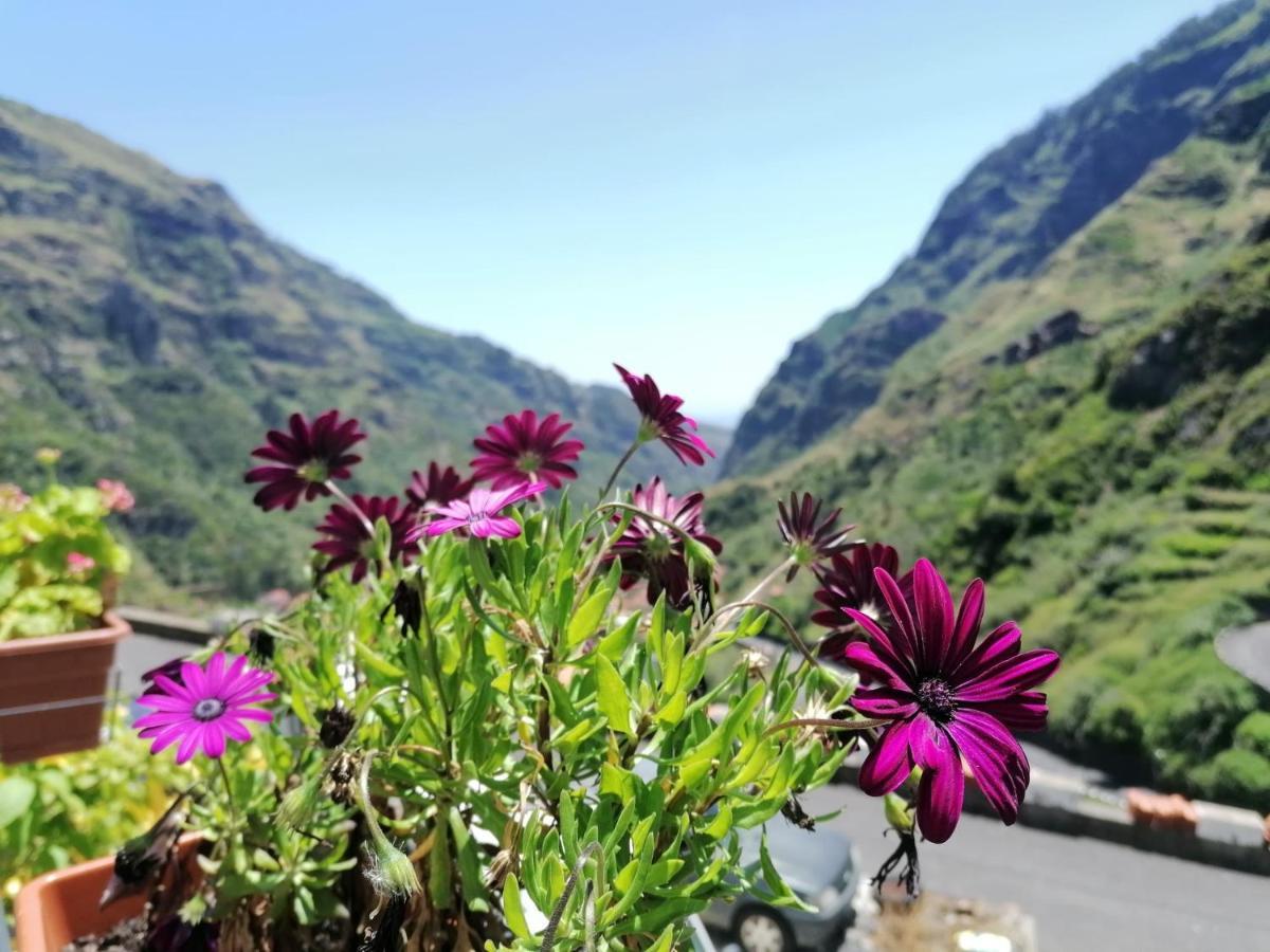 ריביירה בראבה Green Valley House Madeira מראה חיצוני תמונה