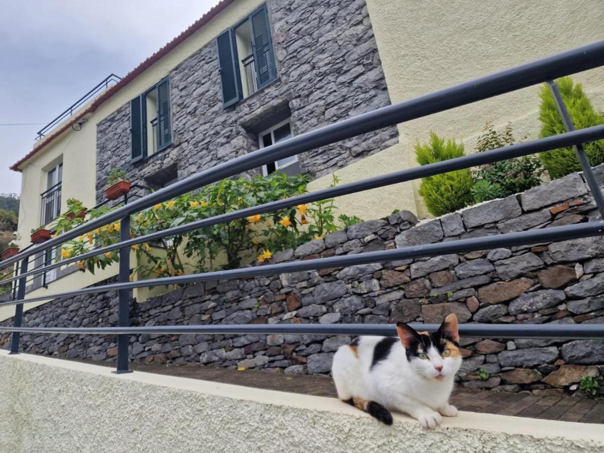 ריביירה בראבה Green Valley House Madeira מראה חיצוני תמונה